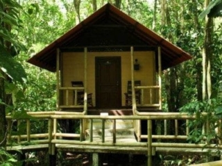 Evergreen Lodge, Standard Room Jungle Bungalow