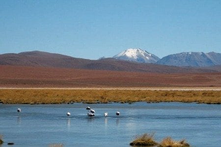 Atacama Salt Lake, Chile