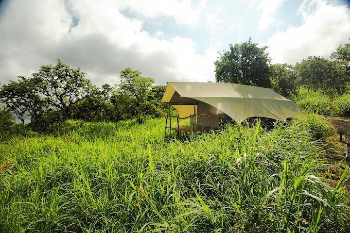 Galapagos Safari Camp, Galapagos