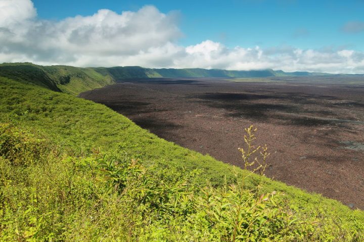 Caldera, Sierra Negra Volcano, Isabela Island, Galapagos