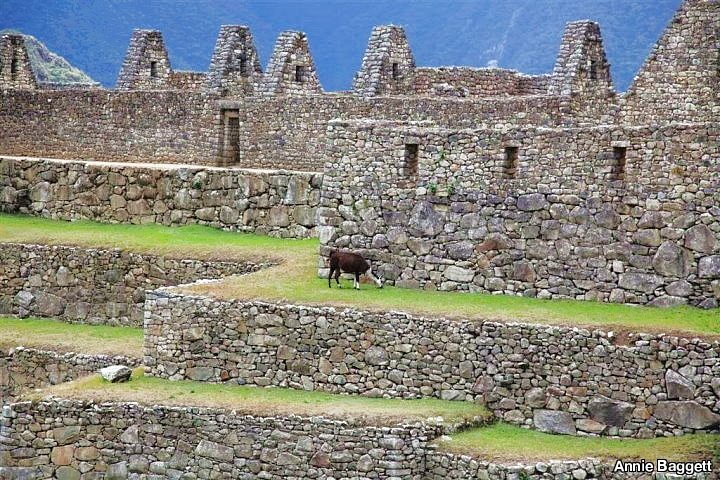 Machu Picchu, Peru