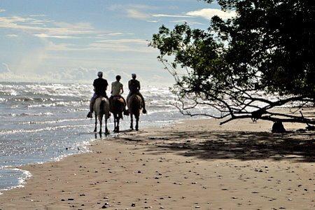 Interests - Horseback Riding Tours