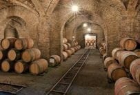 Wine Cellar, Viña Santa Carolina, Maipo Valley, Chile