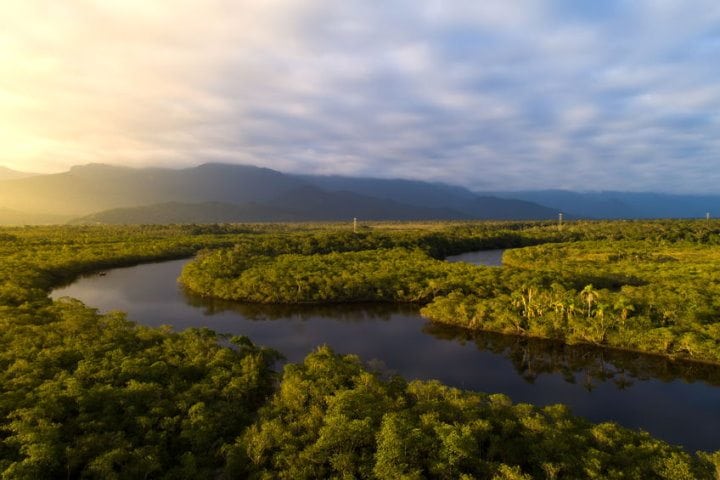 Amazon Rainforest, Brazil