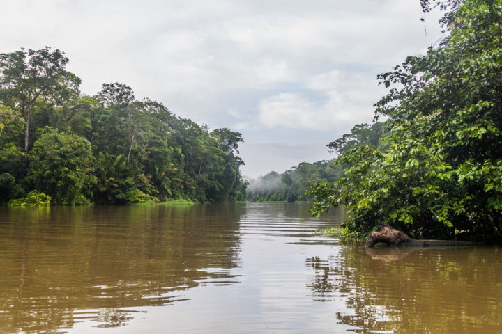 Tortuguero National Park, Costa Rica
