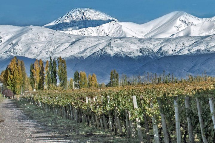 Catena Zapata Vineyard in Lujan de Cuyo, one the the Main Wine Regions in Mendoza, Argentina with the Andes in the background