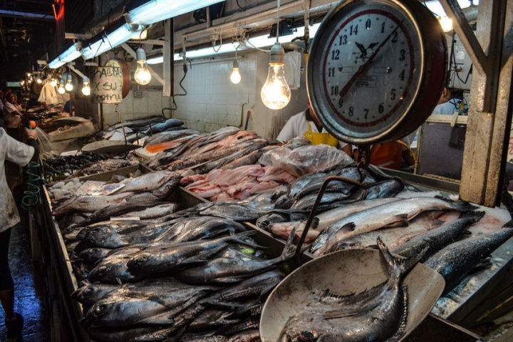 Fresh Fish and Seafood, Mercado Central, Santiago, Chile