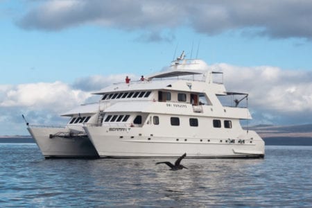 Galapagos Seaman Journey, Galapagos Cruise Ship