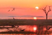 Sunset, Lake Kariba, Zimbabwe