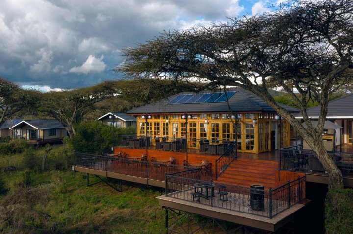 Ngorongoro Lions Paw, Ngorongoro Crater, Tanzania